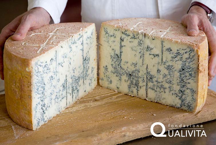 Gorgonzola PDO: secrets of production and storage - Gorgonzola DOP