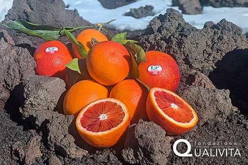 Arancia Rossa di Sicilia IGP foto-1