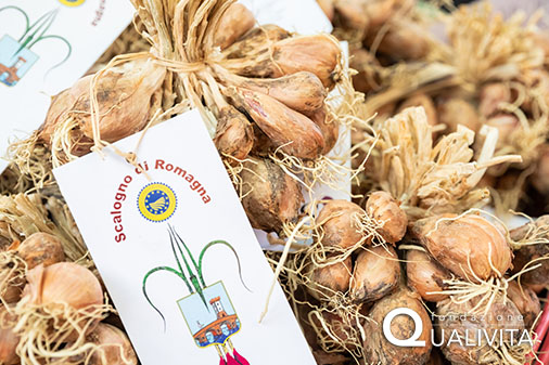 Scalogno di Romagna IGP foto-1