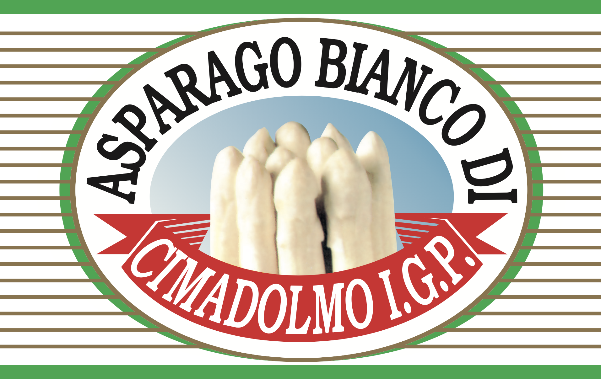 Asparago Bianco di Cimadolmo PGI