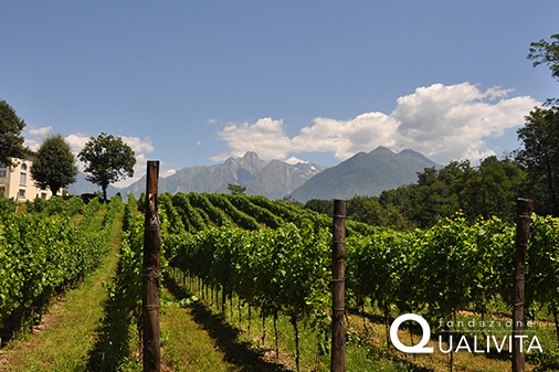 Terre Lariane IGP Foto-1 Terre Lariane IGP foto-1