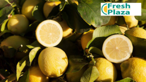 Limone di Siracusa IGP