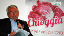 Radicchio di Chioggia IGP: modifiche al disciplinare di produzione