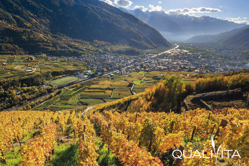 Alpi Retiche IGP Foto-1 Alpi Retiche IGP foto-1