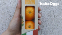 Con le vending-machine le Clementine risorgono