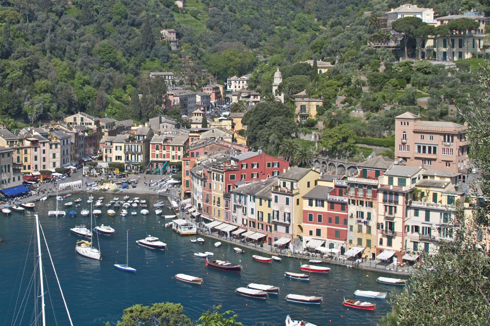 Golfo del Tigullio-Portofino DOP foto-1