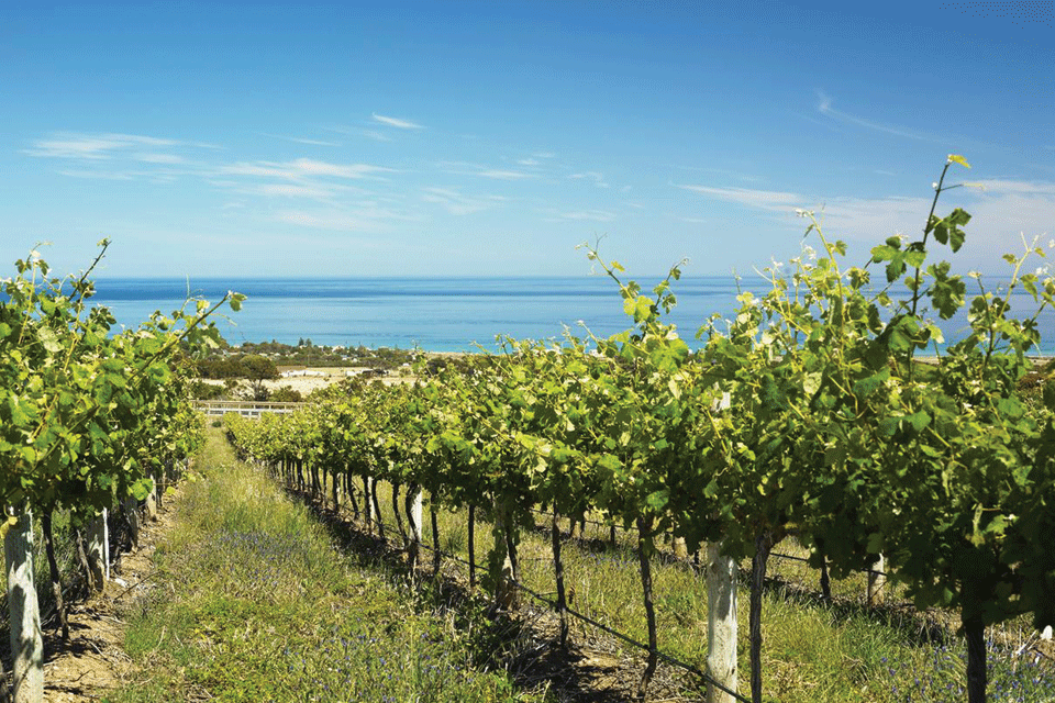 Romangia IGP Foto-1 Romangia IGP foto-1