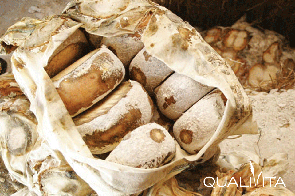 Formaggio di Fossa di Sogliano DOP Qualigeo