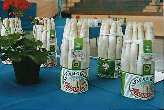 Asparago Bianco di Cimadolmo IGP foto-2