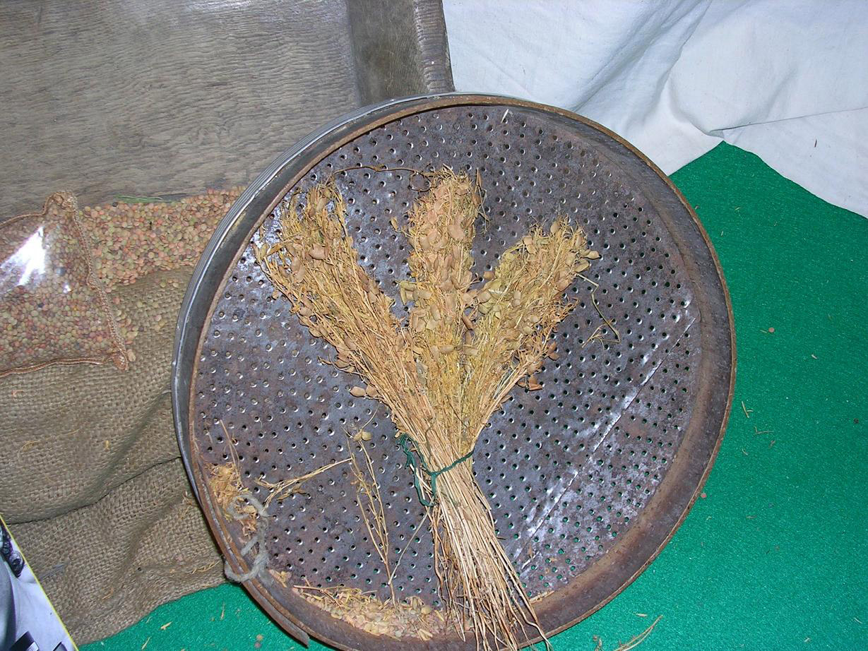 Lenticchia di Castelluccio di Norcia IGP foto-8