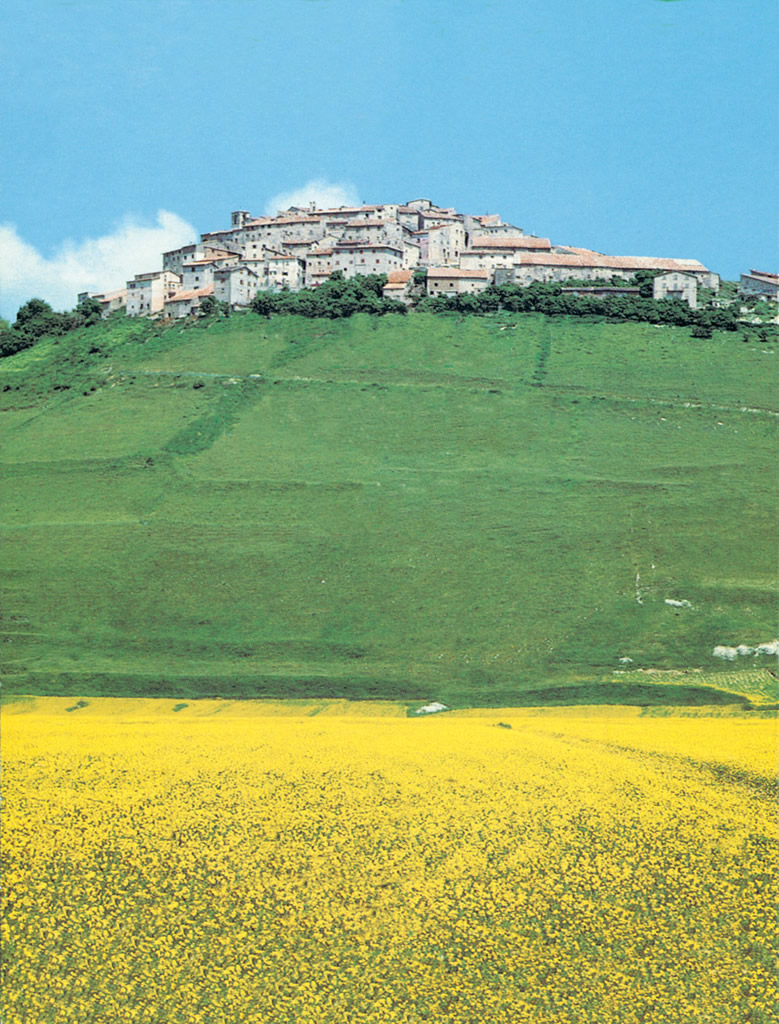 Lenticchia di Castelluccio di Norcia IGP foto-11