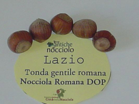 Nocciola Romana DOP foto-6