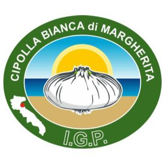 Cipolla Bianca di Margherita IGP