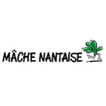 Mâche nantaise IGP