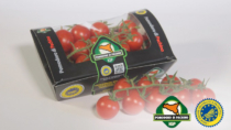 Consorzio di tutela del Pomodoro di Pachino IGP a Fruit Logistica: “un’importante opportunità di promozione a livello internazionale”