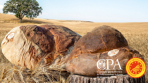 Pane di Altamura DOP: 2019 da record