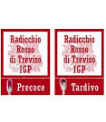 Radicchio Rosso di Treviso PGI