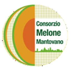 Consorzio di Tutela del Melone Mantovano IGP :: Fondazione Qualivita