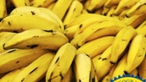 Plátano de Canarias IGP – Spagna