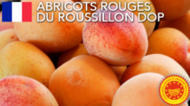 Abricots rouges du Roussillon DOP – Francia