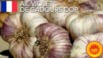 Ail violet de Cadours DOP - Francia