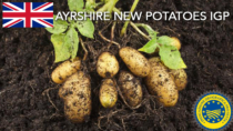 Ayrshire New Potatoes IGP - Regno Unito