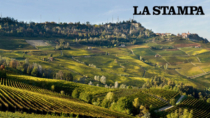 Lavoro agricolo, Consorzio Barolo: “Analisi utile, ma sono stime teoriche”