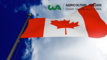 CETA: CIA, cresce export verso Canada, +13% formaggi made in Italy