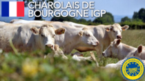 Charolais de Bourgogne IGP - Francia