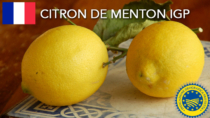 Citron de Menton IGP