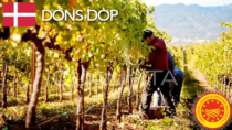 Dons DOP - Danimarca