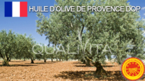 Huile d’olive de Provence DOP - Francia