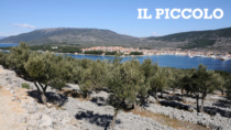 Coazia, riconosciuta la DOP per l