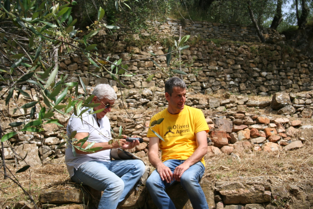 2019 Oliveti Aperti - Press Tour