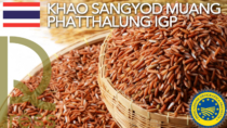 Registrata una nuova IGP in Thailanda: la numero 23 fra le IG Food extra UE