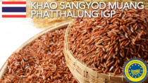 Khao Sangyod Muang Phatthalung IGP - Thailandia