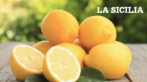 Il limone dell