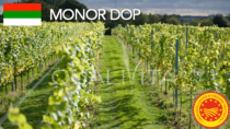 Monor DOP – Ungheria
