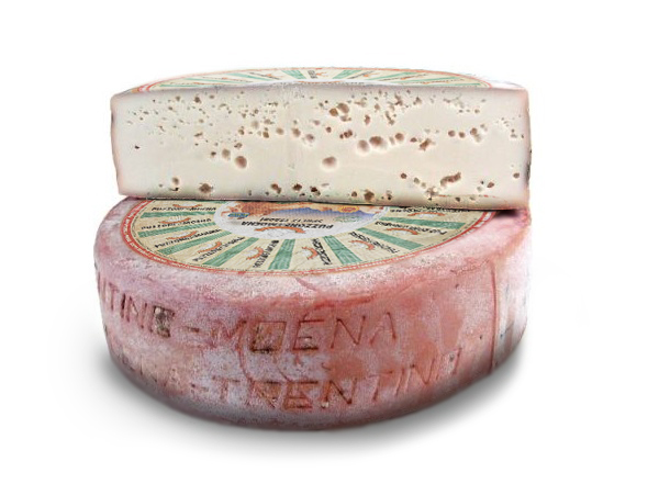 2014 Anteprima DOP V