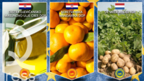 Salgono a 1264 i prodotti Food europei Dop, Igp e Stg