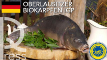 Salgono a 1.285 i prodotti Food europei Dop, Igp e Stg
