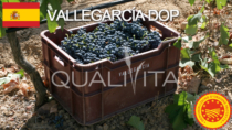 Vallegarcia DOP – Spagna