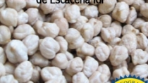 Garbanzo de Escacena IGP- Spagna