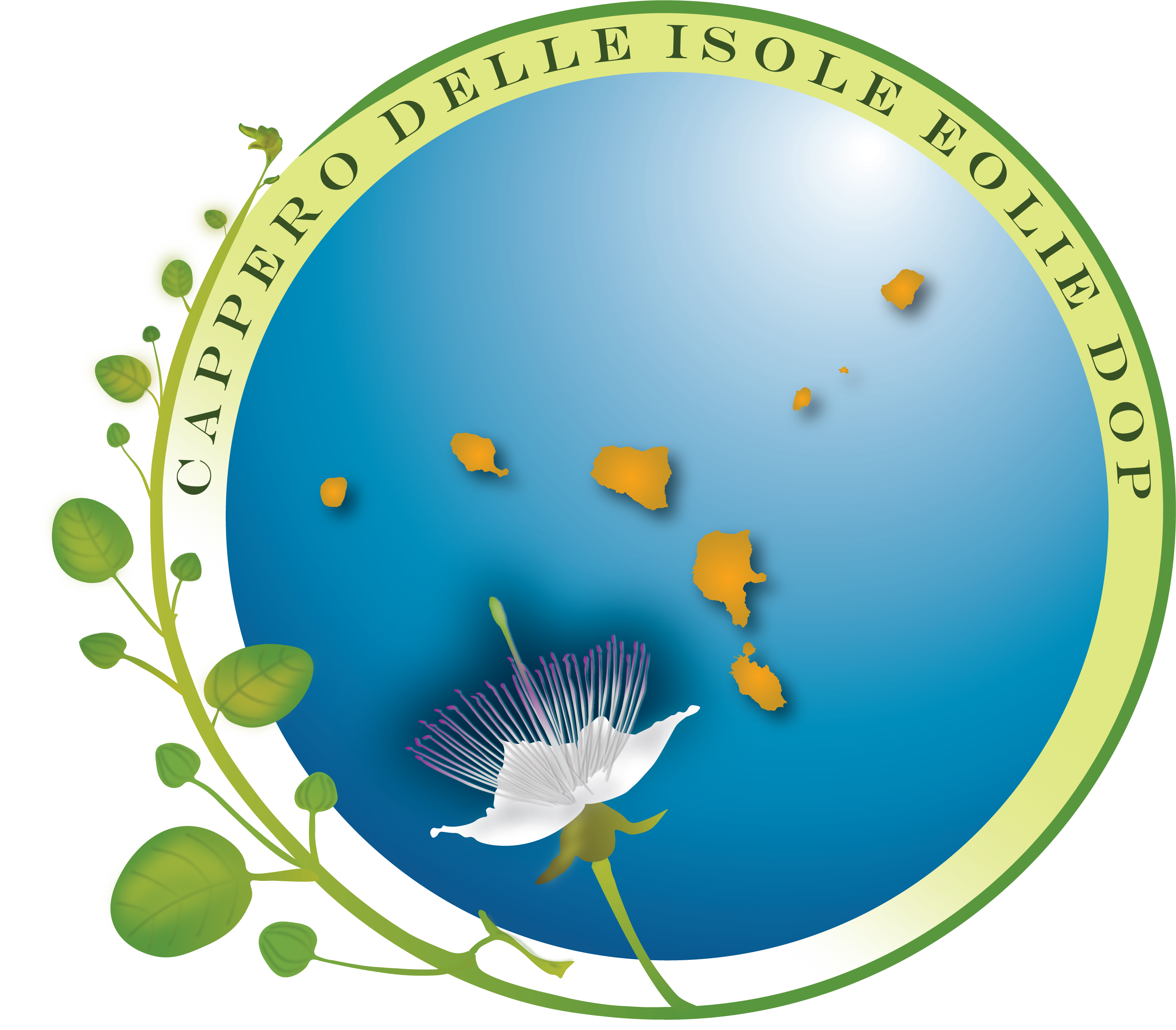 Cappero delle Isole Eolie DOP