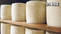 Prezzi record per il Pecorino Romano DOP, ma preoccupa il balzo dei costi