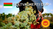 Soltvadkerti DOP - Ungheria