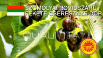 Szomolyai Rövidszárú Fekete Cseresznye DOP - Ungheria