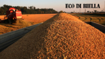 Una valutazione agronomica per proteggere il Riso di Baraggia Biellese e Vercellese DOP
