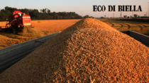 Su i consumi, Riso di Baraggia Biellese e Vercellese DOP più forte del Covid