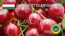 Újfehértói Meggy IGP - Ungheria